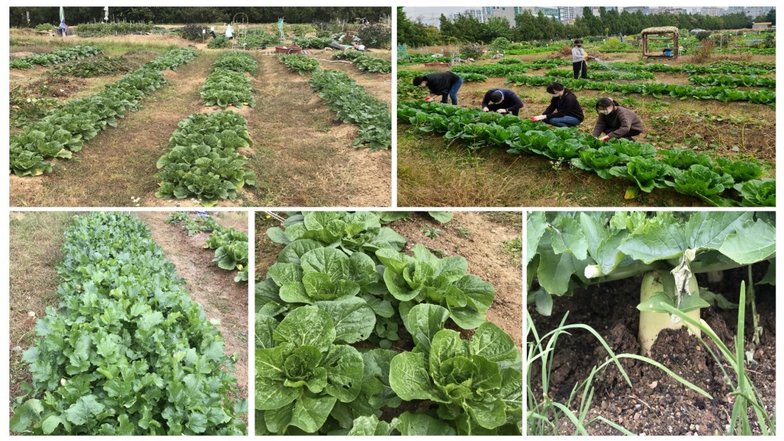 523d24d16c0cb2f0fc491de267963c4e_1602837