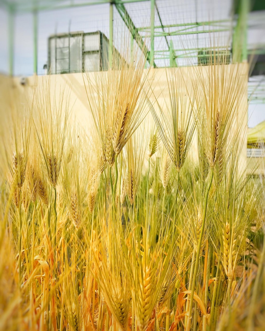 041006d6ddc7b445ba19909e1beaf531_1651887